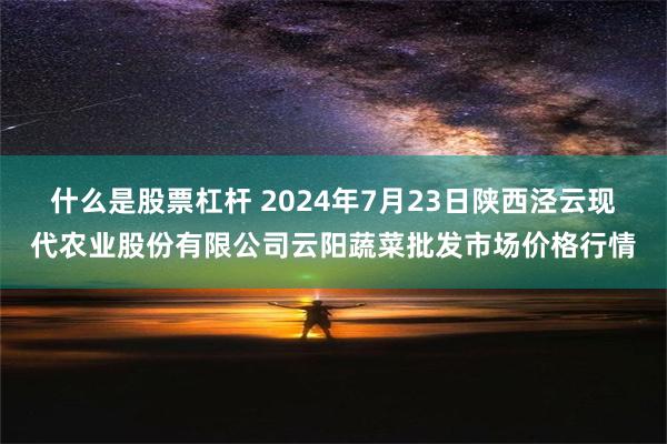 什么是股票杠杆 2024年7月23日陕西泾云现代农业股份有限公司云阳蔬菜批发市场价格行情