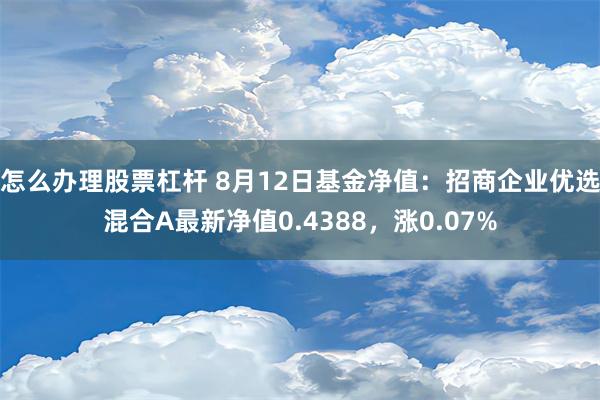 怎么办理股票杠杆 8月12日基金净值：招商企业优选混合A最新净值0.4388，涨0.07%