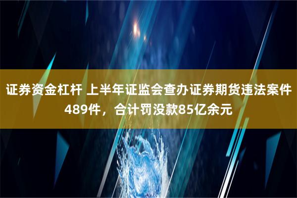 证券资金杠杆 上半年证监会查办证券期货违法案件489件，合计罚没款85亿余元