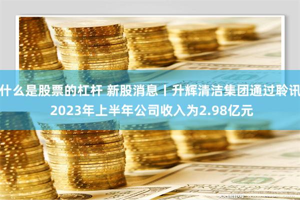 什么是股票的杠杆 新股消息丨升辉清洁集团通过聆讯 2023年上半年公司收入为2.98亿元