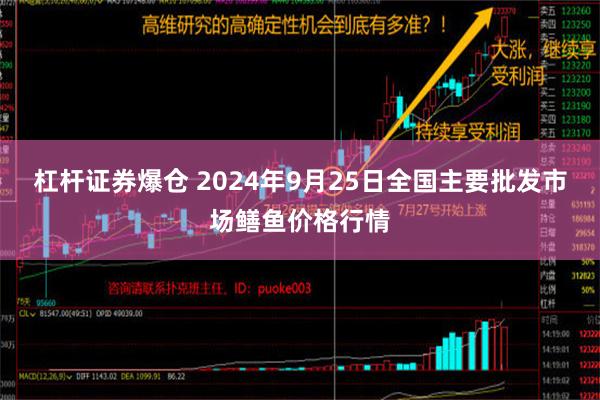 杠杆证券爆仓 2024年9月25日全国主要批发市场鳝鱼价格行情