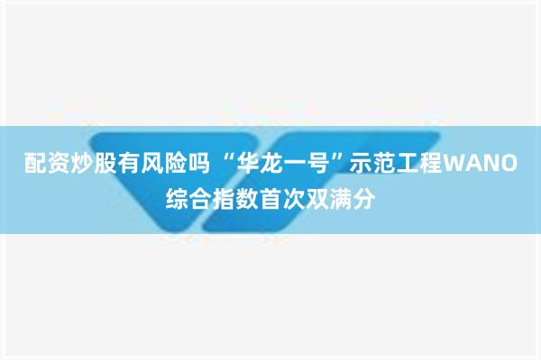 配资炒股有风险吗 “华龙一号”示范工程WANO综合指数首次双满分