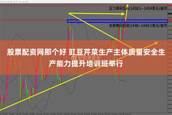 股票配资网那个好 豇豆芹菜生产主体质量安全生产能力提升培训班举行